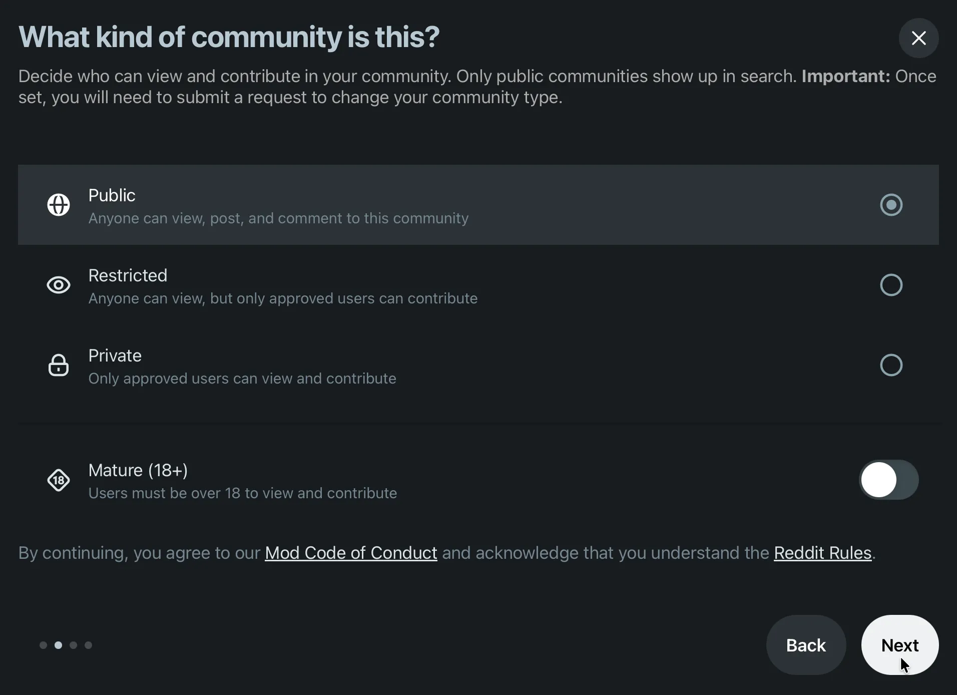 The community type screen with Public, Restricted and Private options, plus a Mature 18+ toggle